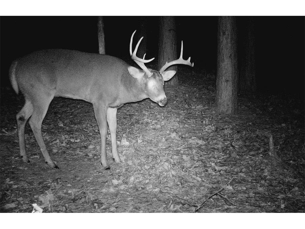 28890 County 25 S Rushford MN 55962 7018733 image81