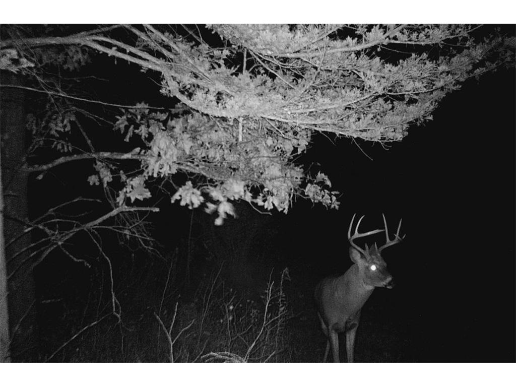 28890 County 25 S Rushford MN 55962 7018733 image84