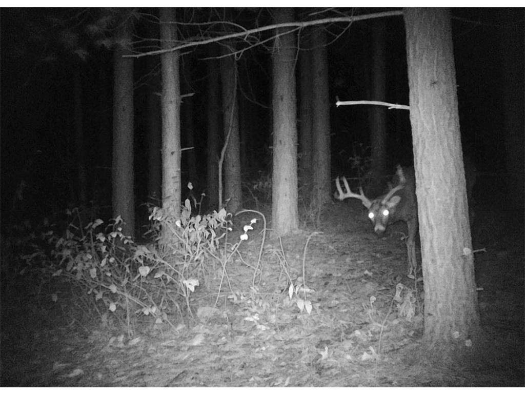 28890 County 25 S Rushford MN 55962 7018733 image87