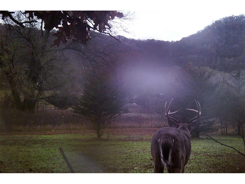 28890 County 25 S Rushford MN 55962 7018733 image90