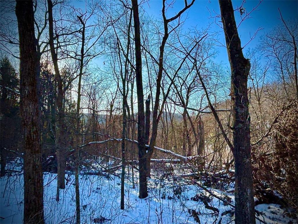 28890 County 25 S Rushford MN 55962 7018733 image91