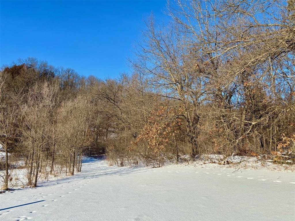 28890 County 25 S Rushford MN 55962 7018733 image92