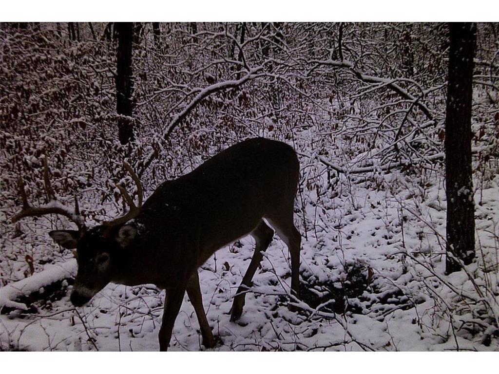 28890 County 25 S Rushford MN 55962 7018733 image95