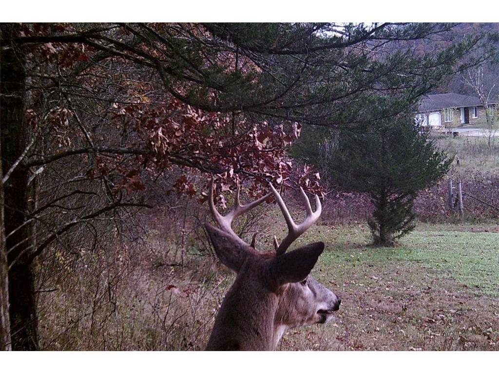 28890 County 25 S Rushford MN 55962 7018733 image97