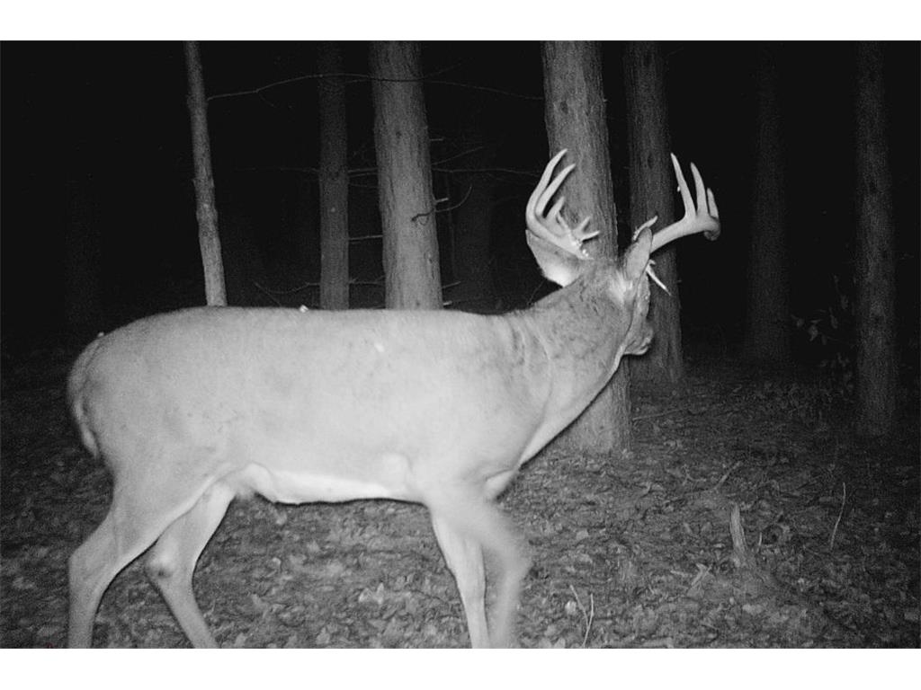 28890 County 25 S Rushford MN 55962 7018733 image98