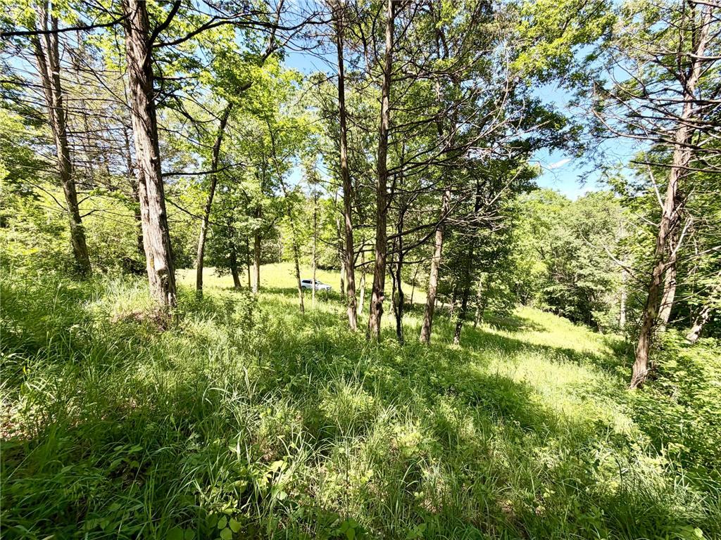 28895 Belle Creek Way Vasa Twp MN 55089 - Belle Creek 7054671 image100