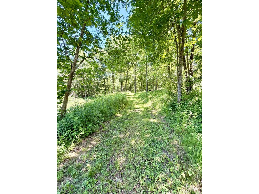 28895 Belle Creek Way Vasa Twp MN 55089 - Belle Creek 7054671 image101