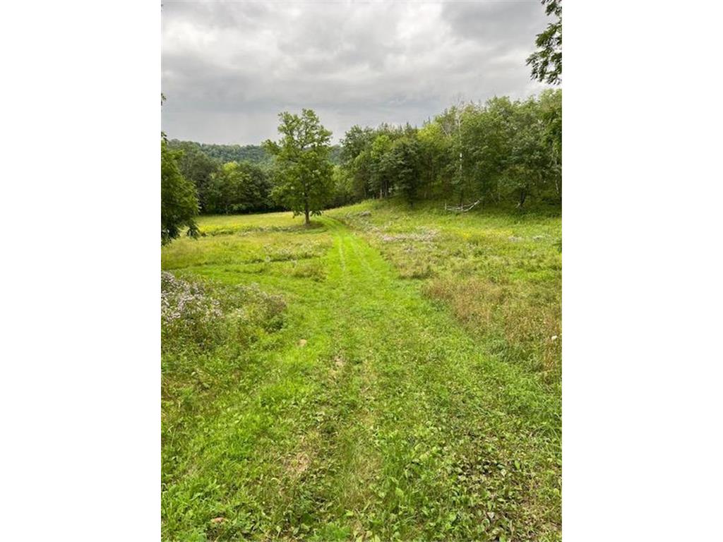 28895 Belle Creek Way Vasa Twp MN 55089 - Belle Creek 7054671 image102