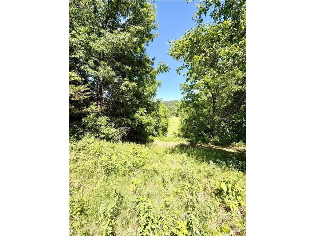 28895 Belle Creek Way Vasa Twp MN 55089 - Belle Creek 7054671 image103