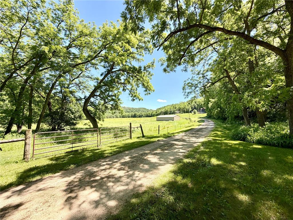 28895 Belle Creek Way Vasa Twp MN 55089 - Belle Creek 7054671 image106