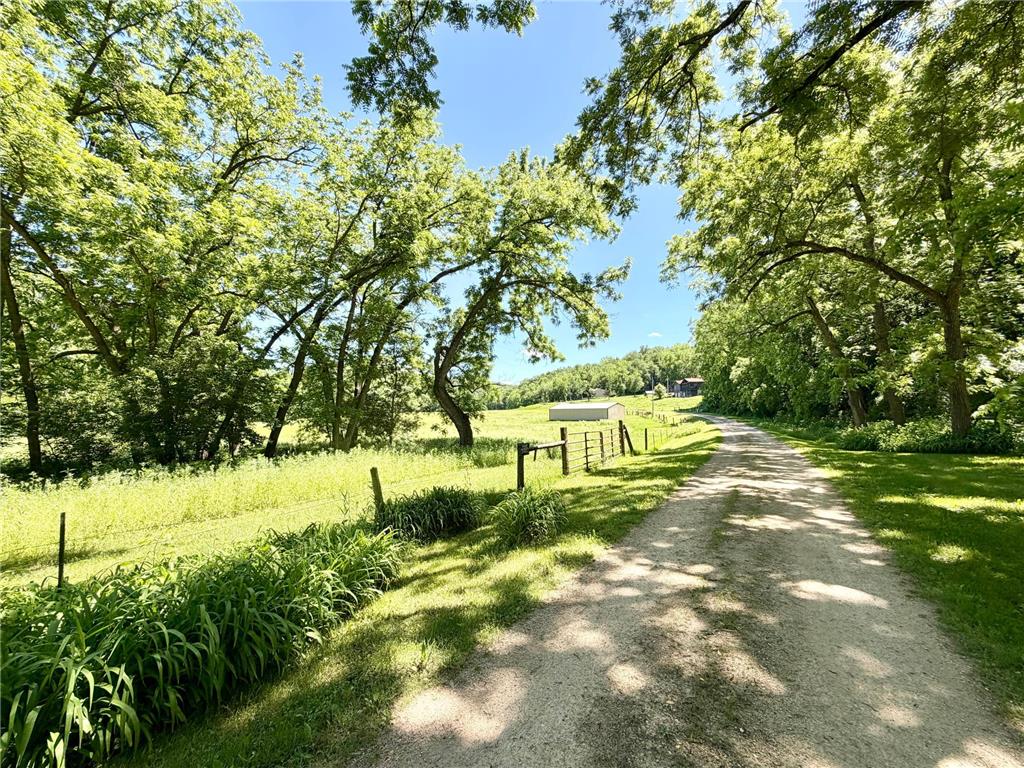 28895 Belle Creek Way Vasa Twp MN 55089 - Belle Creek 7054671 image15