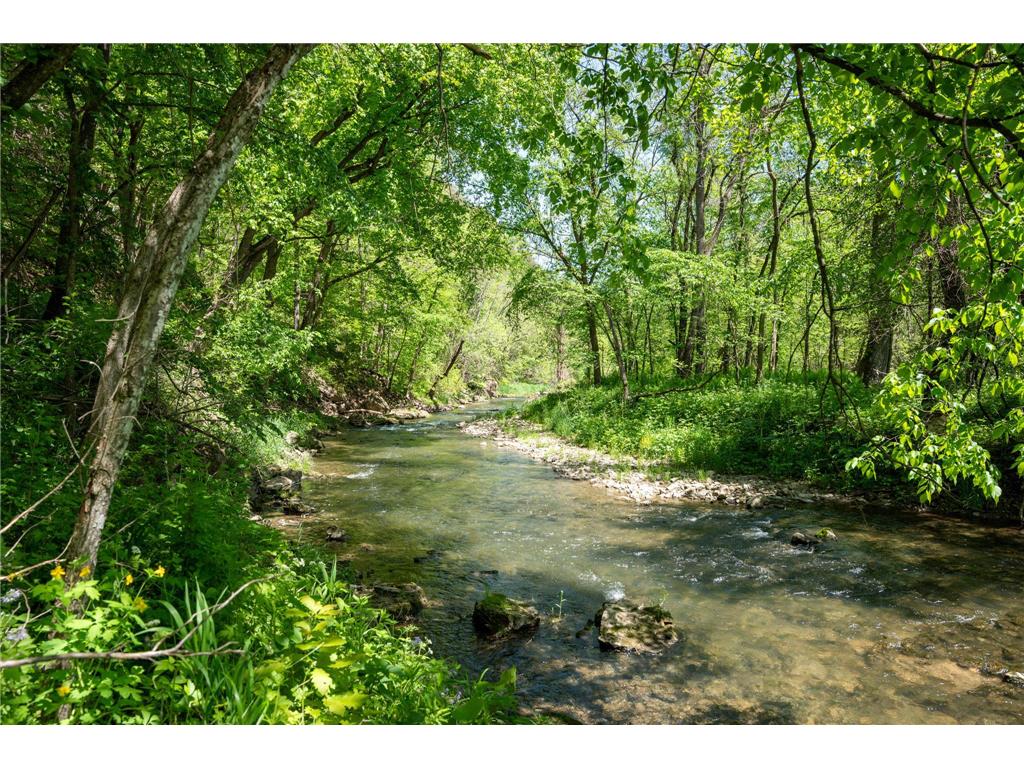 28895 Belle Creek Way Vasa Twp MN 55089 - Belle Creek 7054671 image6
