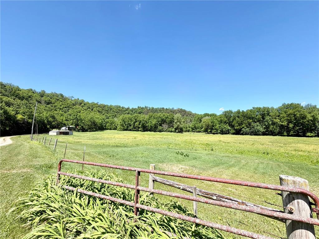 28895 Belle Creek Way Vasa Twp MN 55089 - Belle Creek 7054671 image72