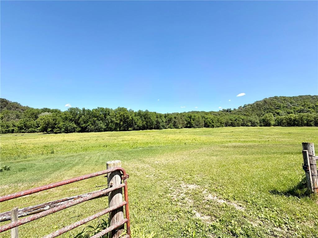 28895 Belle Creek Way Vasa Twp MN 55089 - Belle Creek 7054671 image73