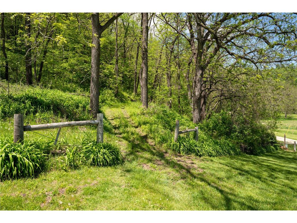 28895 Belle Creek Way Vasa Twp MN 55089 - Belle Creek 7054671 image85