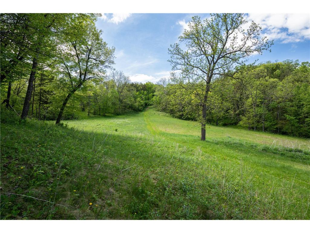 28895 Belle Creek Way Vasa Twp MN 55089 - Belle Creek 7054671 image87