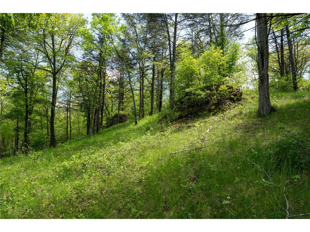 28895 Belle Creek Way Vasa Twp MN 55089 - Belle Creek 7054671 image89