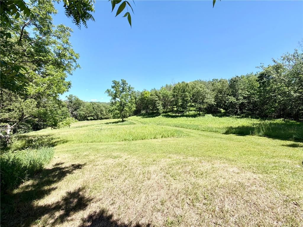 28895 Belle Creek Way Vasa Twp MN 55089 - Belle Creek 7054671 image90