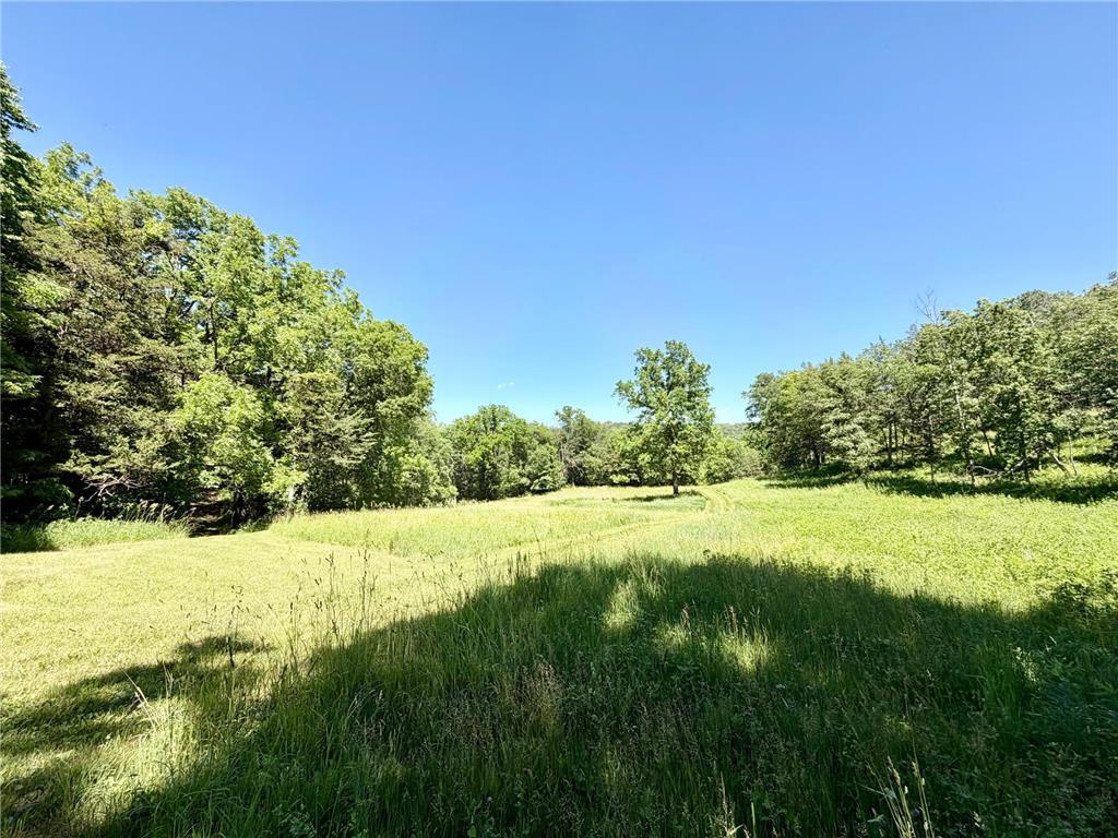 28895 Belle Creek Way Vasa Twp MN 55089 - Belle Creek 7054671 image91