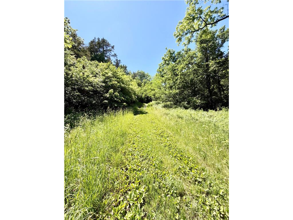 28895 Belle Creek Way Vasa Twp MN 55089 - Belle Creek 7054671 image92
