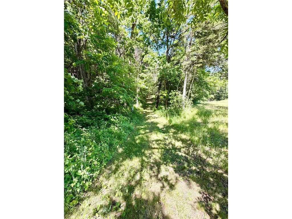28895 Belle Creek Way Vasa Twp MN 55089 - Belle Creek 7054671 image94