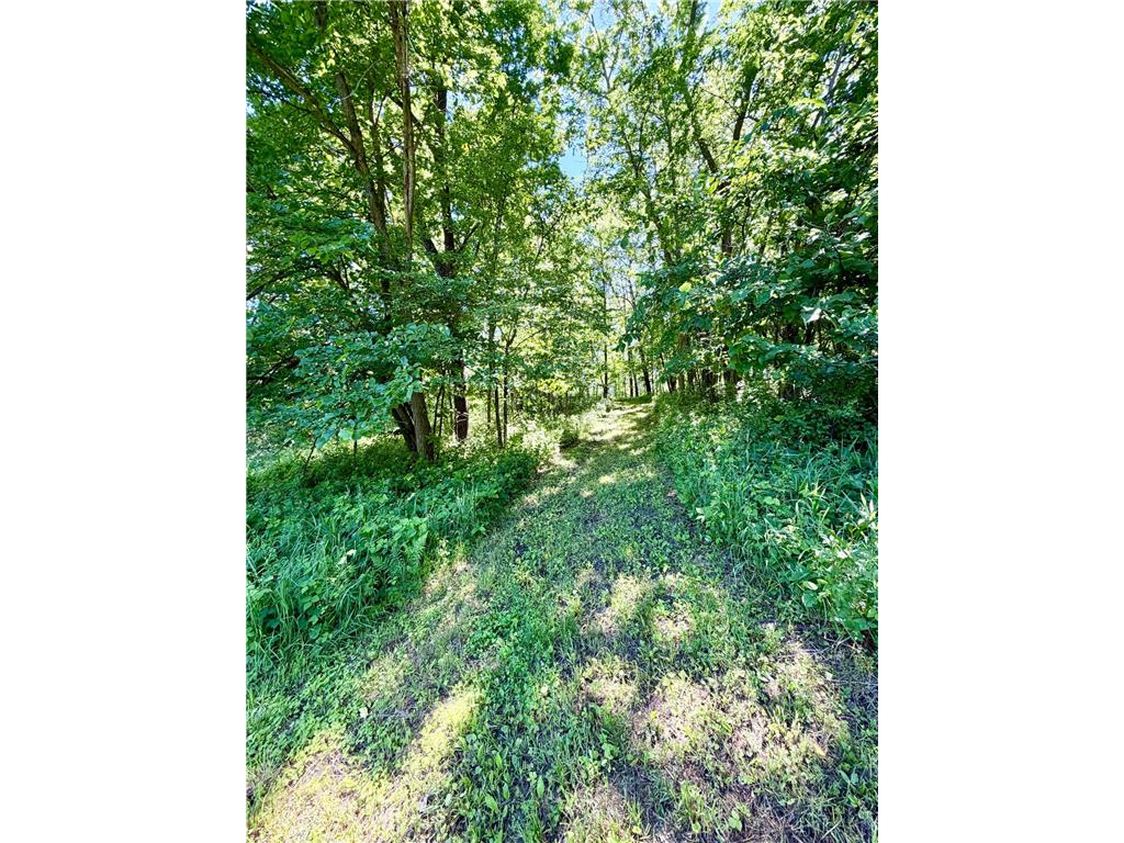 28895 Belle Creek Way Vasa Twp MN 55089 - Belle Creek 7054671 image95