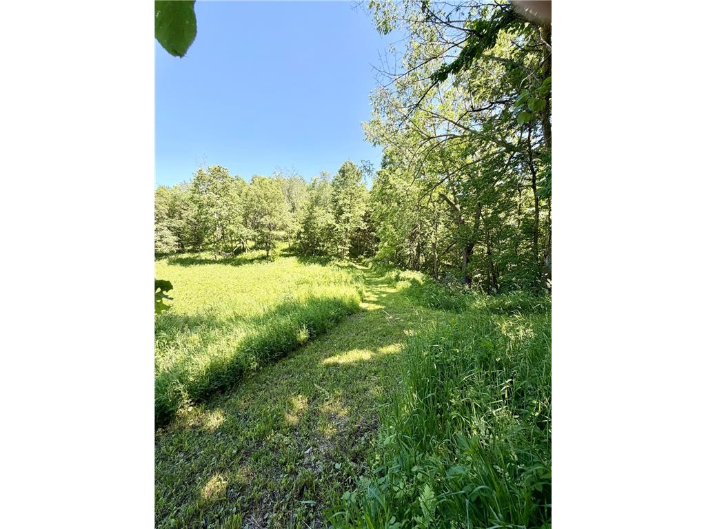 28895 Belle Creek Way Vasa Twp MN 55089 - Belle Creek 7054671 image96