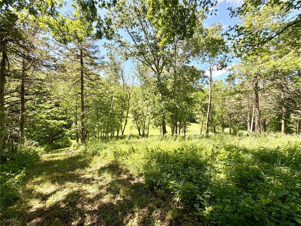 28895 Belle Creek Way Vasa Twp MN 55089 - Belle Creek 7054671 image99
