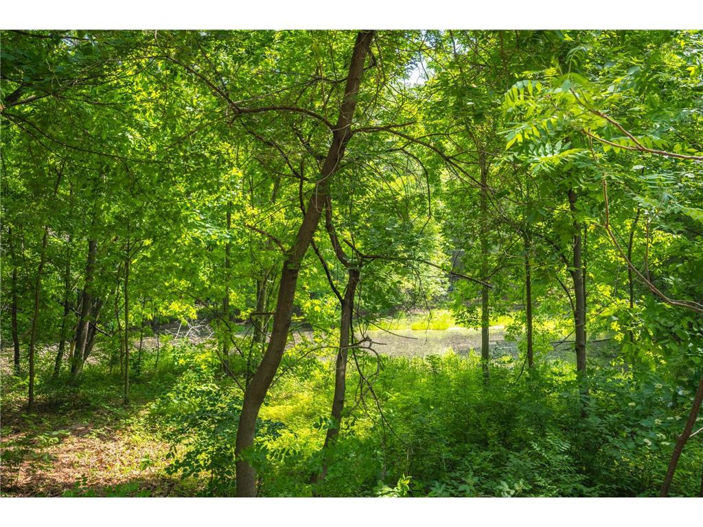 289 192nd Street Alden Twp WI 54026 - Pine Lake 7008216 image30