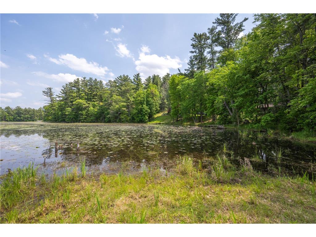 289 192nd Street Alden Twp WI 54026 - Pine Lake 7008216 image39