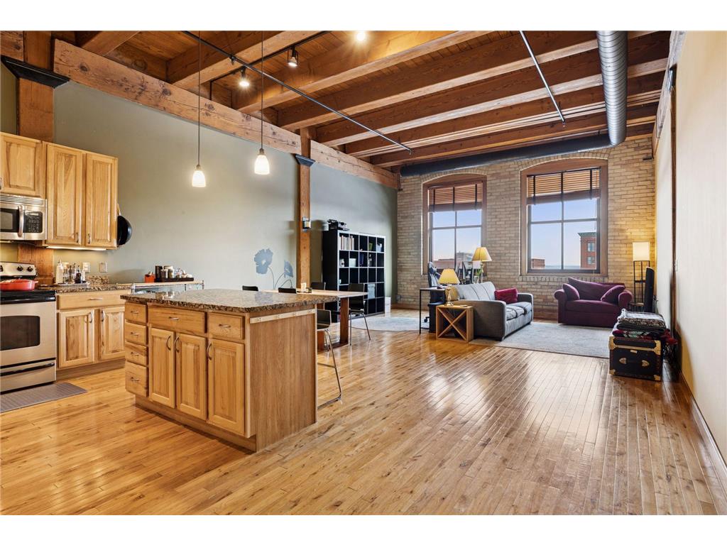 289 5th Street E #403 Saint Paul MN 55101 7008945 image1