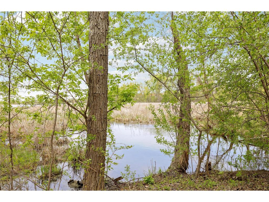 2890 Zanzibar Lane N Plymouth MN 55447 7056705 image35