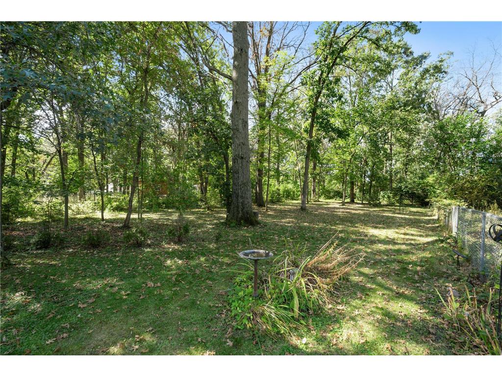 2894 115th Avenue Greenbush Twp MN 55371 6771441 image10