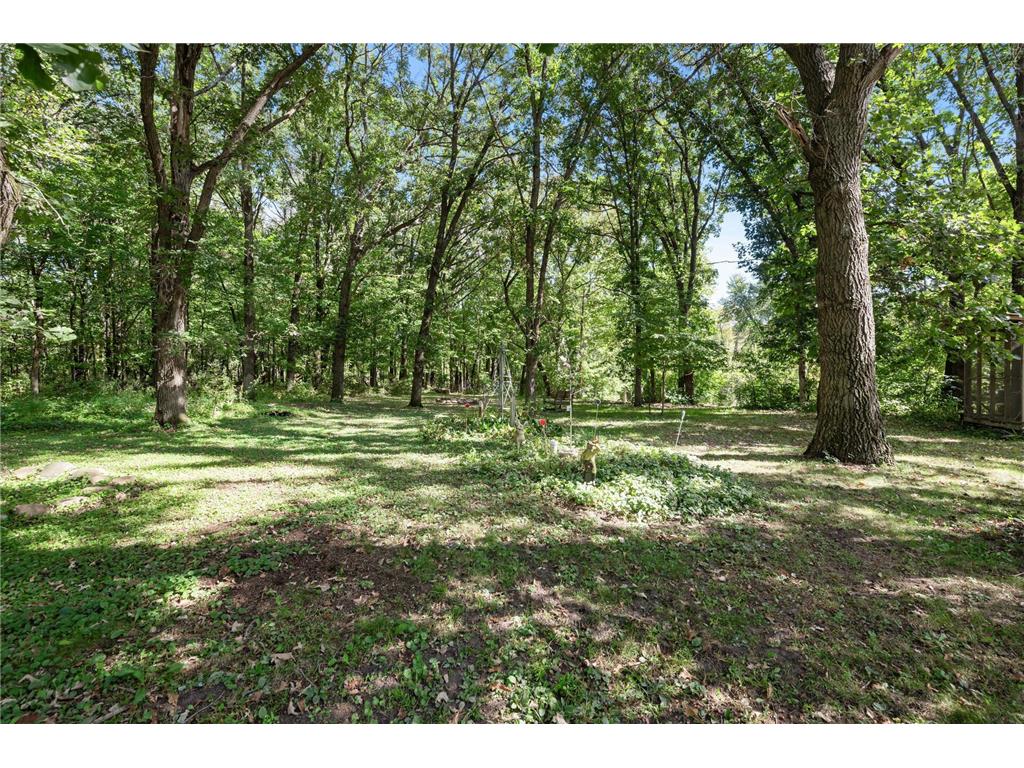 2894 115th Avenue Greenbush Twp MN 55371 6771441 image11