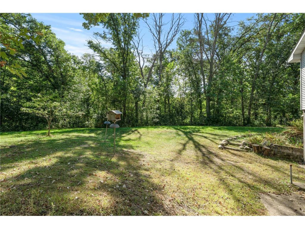 2894 115th Avenue Greenbush Twp MN 55371 6771441 image48