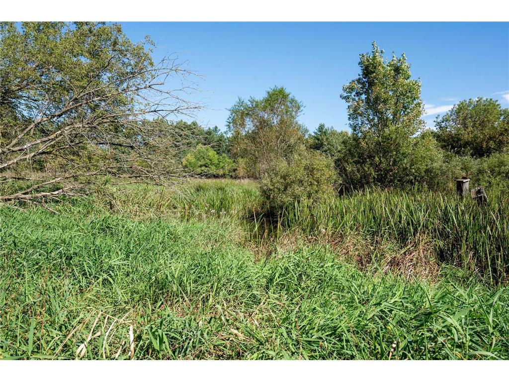 2894 115th Avenue Greenbush Twp MN 55371 6771441 image52
