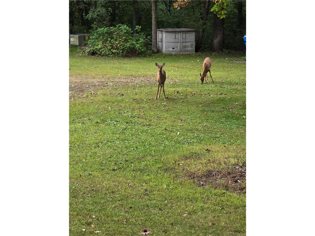 2894 115th Avenue Greenbush Twp MN 55371 6771441 image66