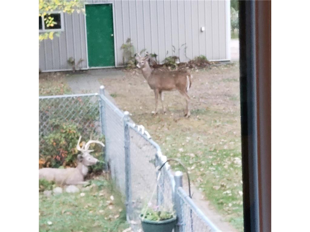 2894 115th Avenue Greenbush Twp MN 55371 6771441 image68