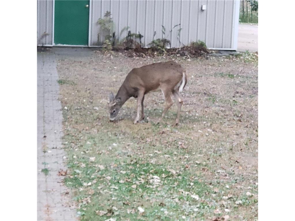 2894 115th Avenue Greenbush Twp MN 55371 6771441 image69