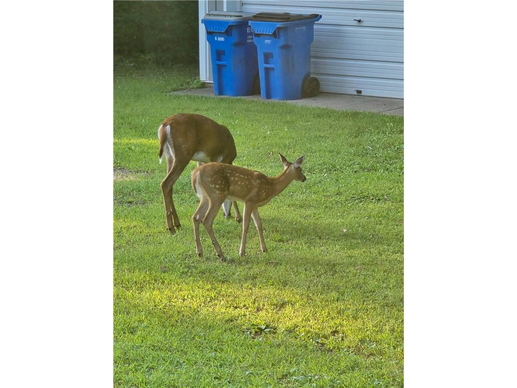 2894 115th Avenue Greenbush Twp MN 55371 6771441 image70