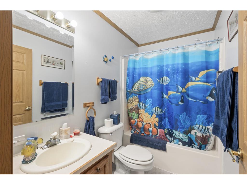 2894 115th Avenue Greenbush Twp MN 55371 7086325 image31