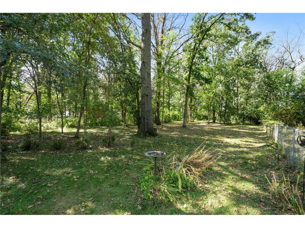 2894 115th Avenue Greenbush Twp MN 55371 7086325 image4