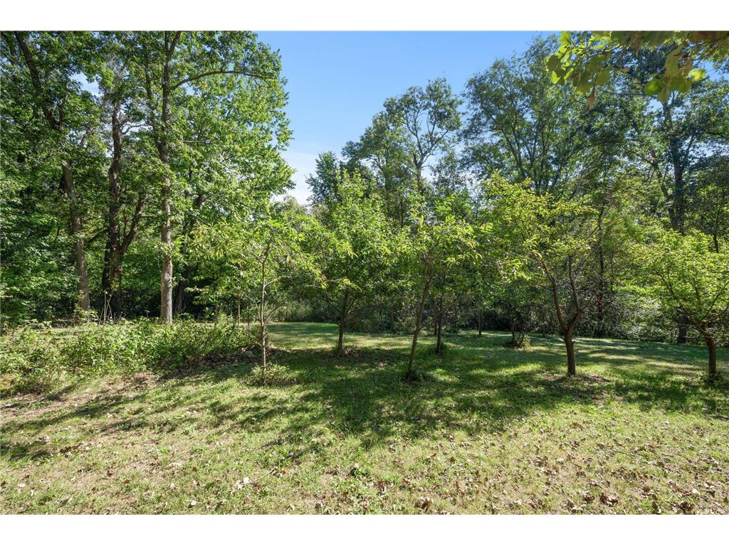 2894 115th Avenue Greenbush Twp MN 55371 7086325 image58