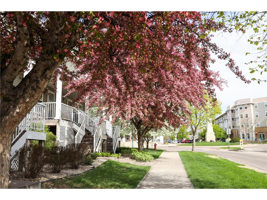 2894 Clover Ridge Drive Chaska MN 55318 7064970 image28