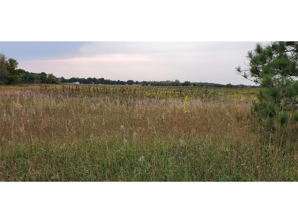 28966 Holly Street NW Bradford Twp MN 55040 6686614 image1