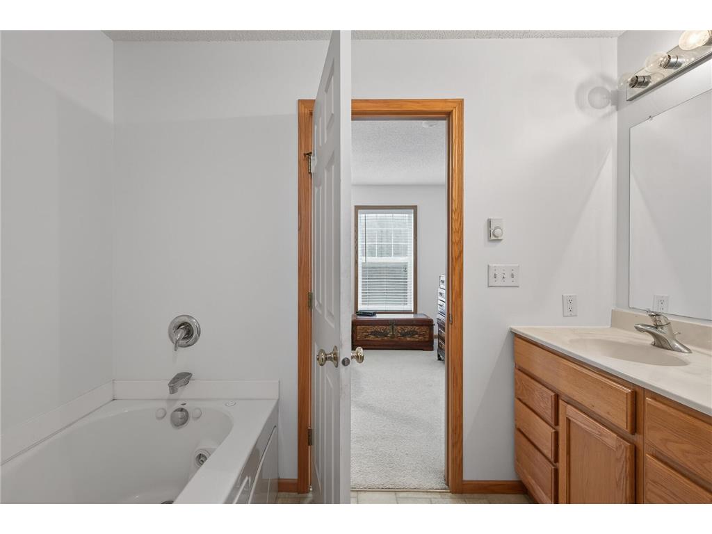 2897 Mark Twain Drive Chaska MN 55318 7029318 image19