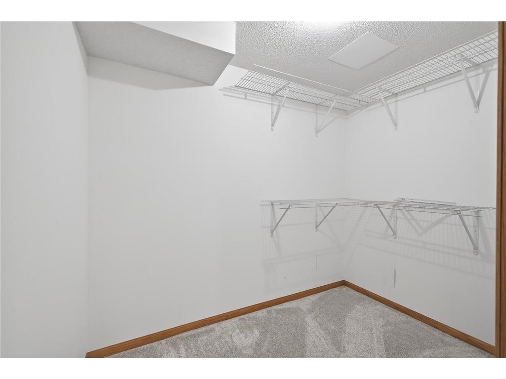 2897 Mark Twain Drive Chaska MN 55318 7029318 image28
