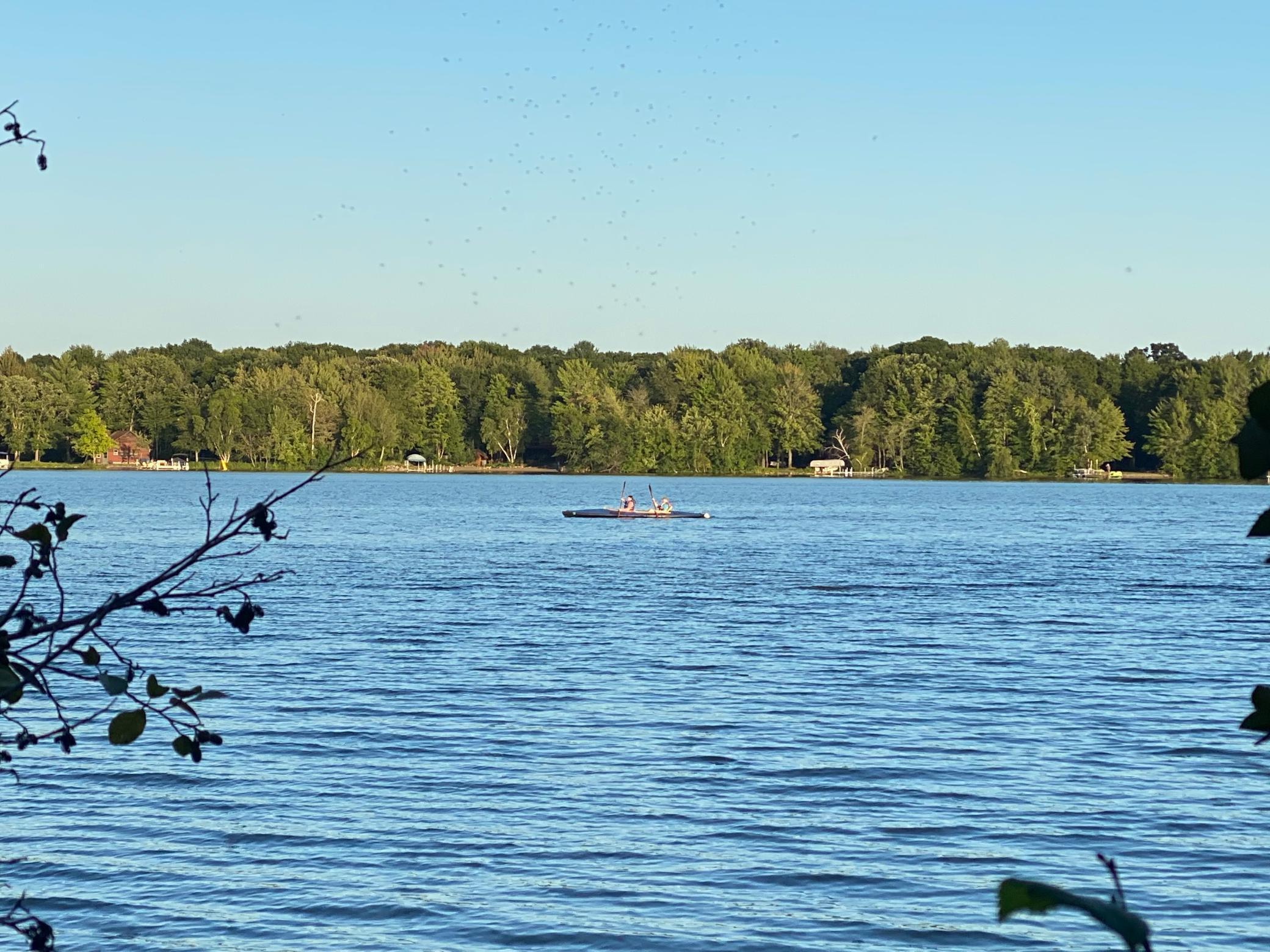 28XXX Bay Shore Drive, Bradford Twp, MN, 55040 MLS 4834935 Edina