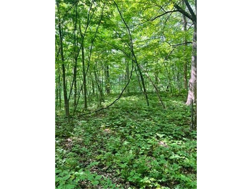 28xxx 89th Avenue Boyd WI 54726 - Yellow River 6733843 image12