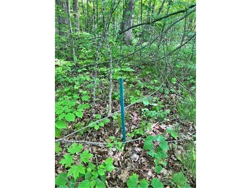 28xxx 89th Avenue Boyd WI 54726 - Yellow River 6733843 image14